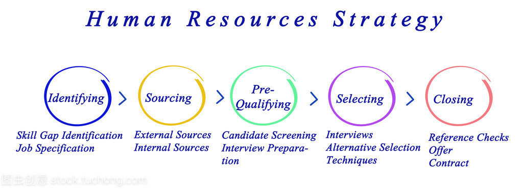 构建高效人力资源服务体系的策略示意图解析